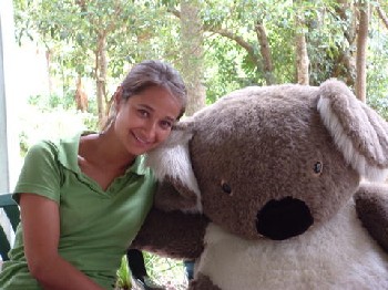 Koala Hospital