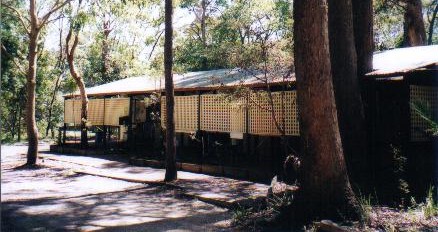 Koala Hospital