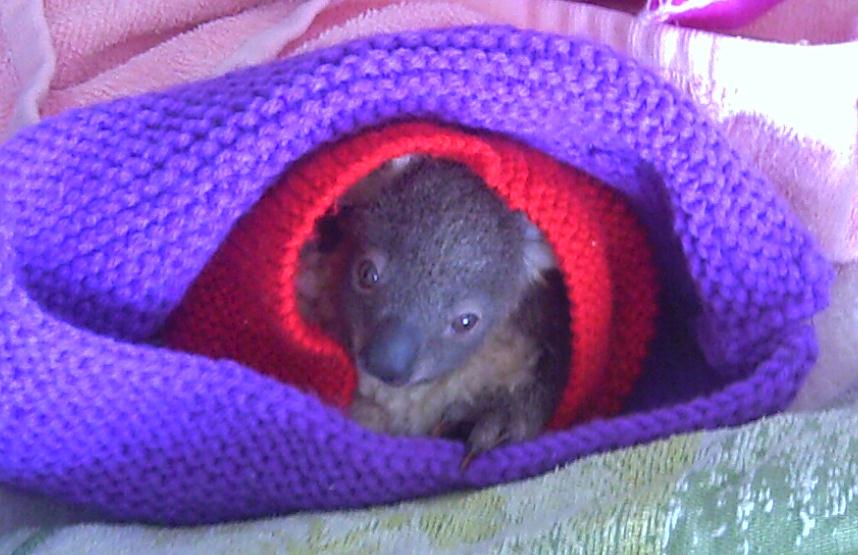 Mighty Mouse
