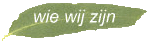 wie wij zijn