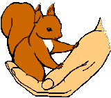Eekhoornopvang
