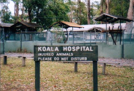het hospital